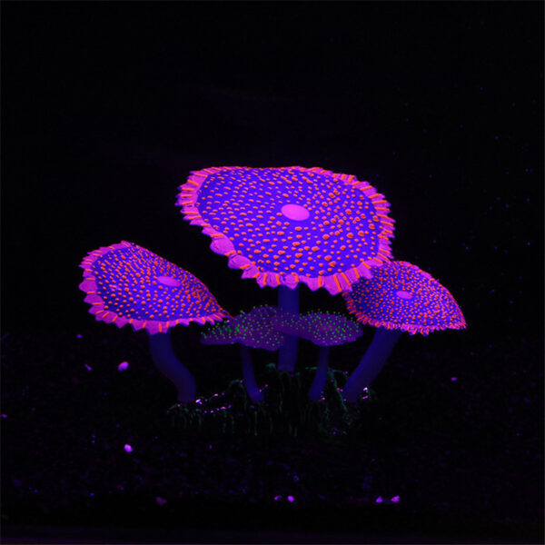 Aquarium Fish Tank Landscaping Decoration Software Silicone Multicolored Fluorescent - Image 7