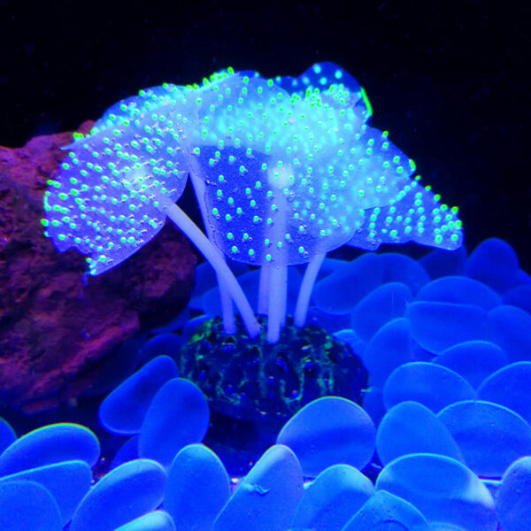 Luminous Silicone Underwater World Fluorescent Fake Coral Aquarium Landscaping - Image 7