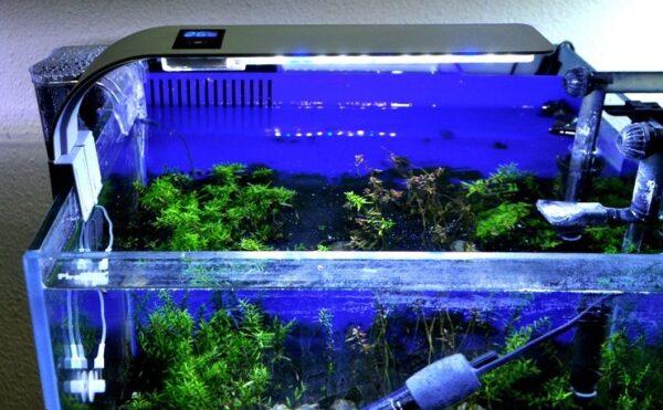 High Power Aquatic Lighting Fish Tank Aquarium Lamp - Image 8