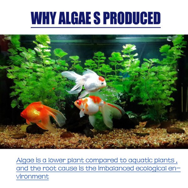 Algae-removing And Moss-removing Agent Aquarium - Image 7